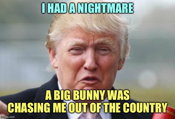 Trump Crybaby | I HAD A NIGHTMARE; A BIG BUNNY WAS CHASING ME OUT OF THE COUNTRY | image tagged in trump crybaby | made w/ Imgflip meme maker