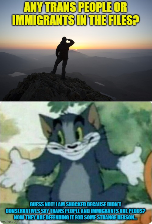 That was weird... | ANY TRANS PEOPLE OR IMMIGRANTS IN THE FILES? GUESS NOT! I AM SHOCKED BECAUSE DIDN'T CONSERVATIVES SAY TRANS PEOPLE AND IMMIGRANTS ARE PEDOS? NOW THEY ARE DEFENDING IT FOR SOME STRANGE REASON... | image tagged in searching,tom shrugging,epstein,immigrants,trump,conservative hypocrisy | made w/ Imgflip meme maker