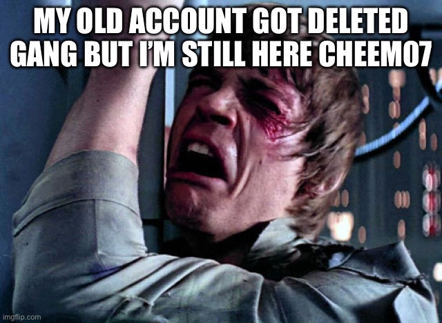 Rip to my old account | MY OLD ACCOUNT GOT DELETED GANG BUT I’M STILL HERE CHEEM07 | image tagged in nooo | made w/ Imgflip meme maker