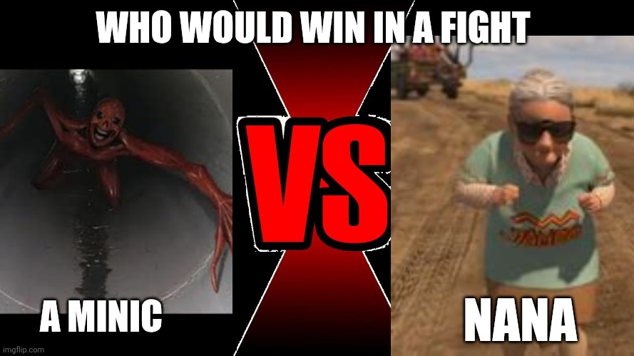 A real question for click bait YouTubers | WHO WOULD WIN IN A FIGHT; A MINIC; NANA | image tagged in versus,nana madagascar,minic,death battle | made w/ Imgflip meme maker