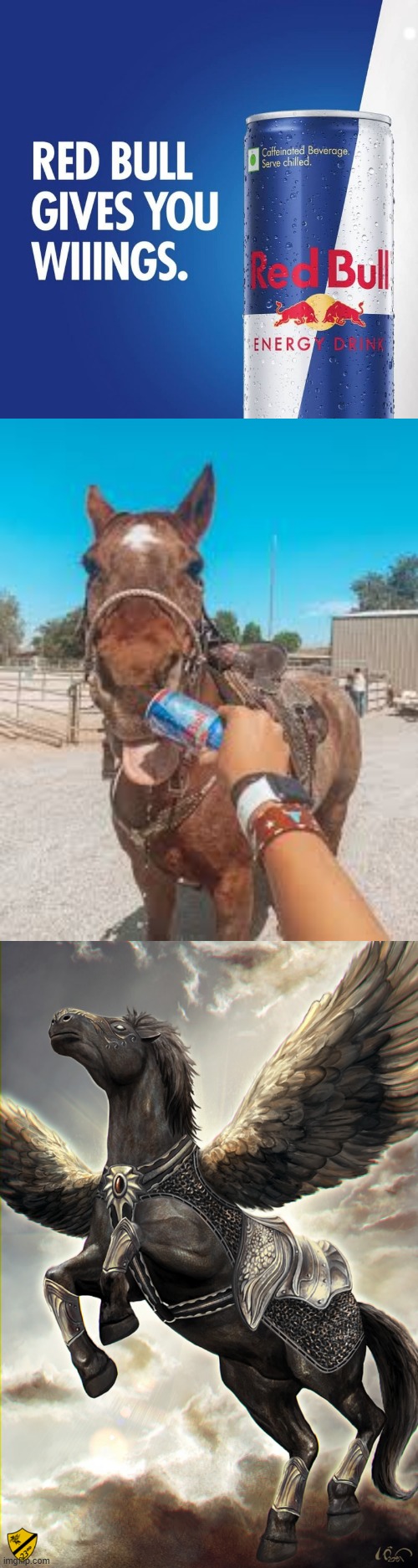 . | image tagged in red bull,pegasus | made w/ Imgflip meme maker