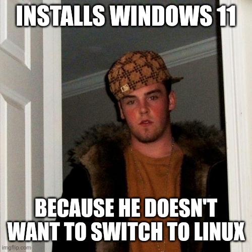 Scumbag Steve Meme | INSTALLS WINDOWS 11; BECAUSE HE DOESN'T WANT TO SWITCH TO LINUX | image tagged in memes,scumbag steve | made w/ Imgflip meme maker