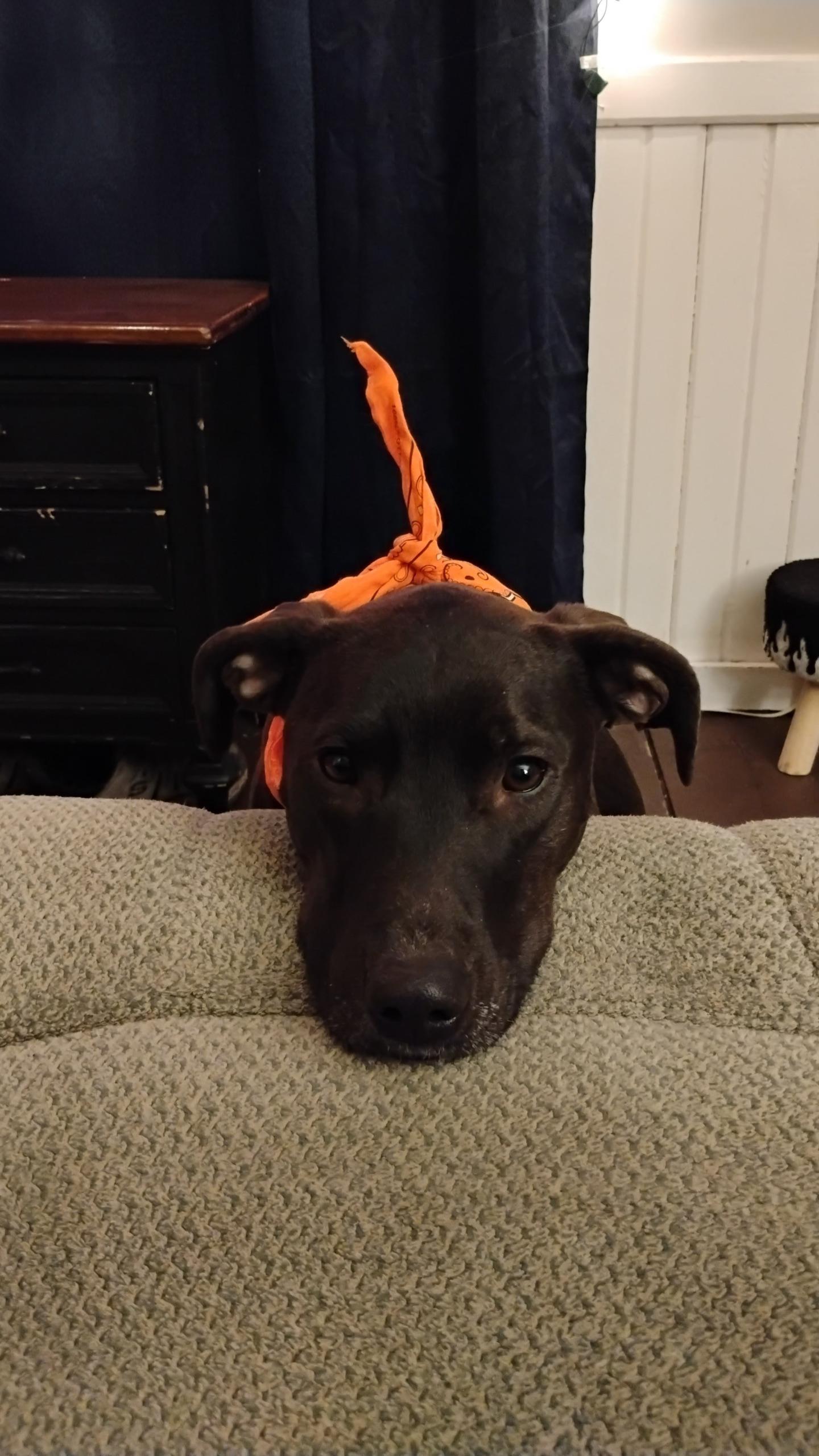 Superbowl 60 Blank Meme Template