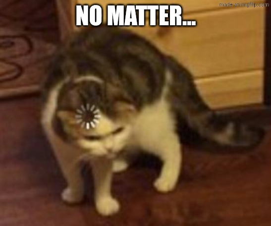 Loading cat | NO MATTER... | image tagged in loading cat | made w/ Imgflip meme maker