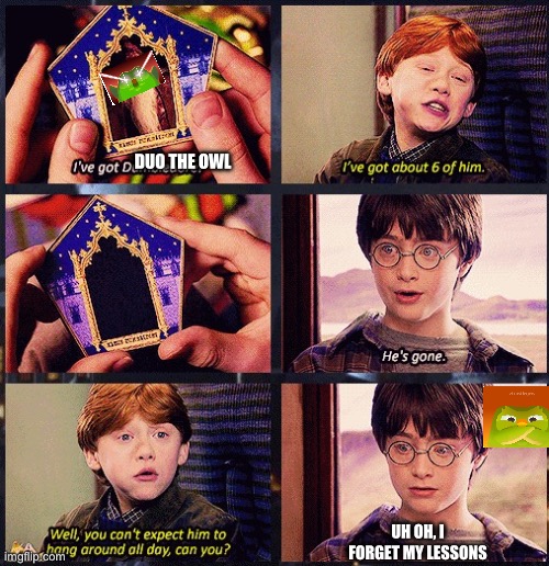He's Gone ! | DUO THE OWL; UH OH, I FORGET MY LESSONS | image tagged in he's gone | made w/ Imgflip meme maker