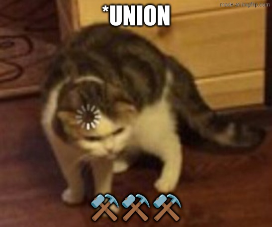 Loading cat | *UNION ⚒️⚒️⚒️ | image tagged in loading cat | made w/ Imgflip meme maker