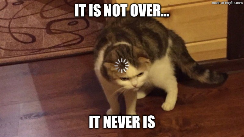 Cat loading | IT IS NOT OVER... IT NEVER IS | image tagged in cat loading | made w/ Imgflip meme maker