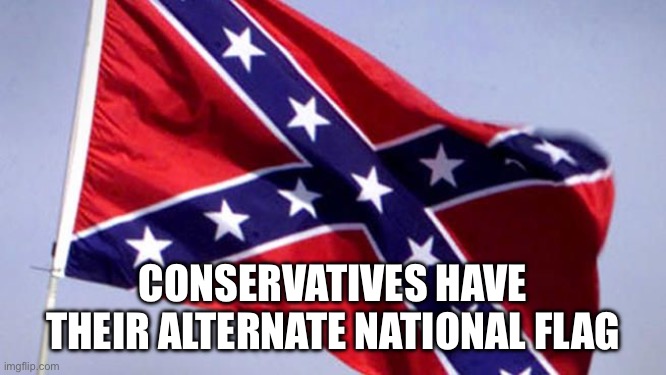 Confederate Flag | CONSERVATIVES HAVE THEIR ALTERNATE NATIONAL FLAG | image tagged in confederate flag | made w/ Imgflip meme maker
