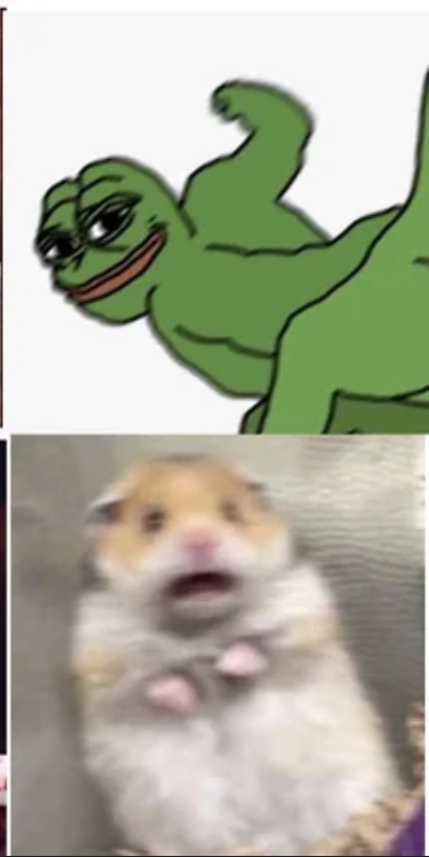 Punch frog Blank Meme Template