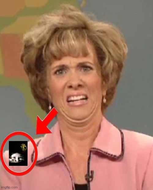 people be making memes out of anything | image tagged in disgusted kristin wiig | made w/ Imgflip meme maker