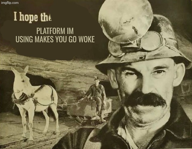 I Hope The Lead I'm Mining Will Be Used In Your Paint | PLATFORM IM USING MAKES YOU GO WOKE | image tagged in i hope the lead i'm mining will be used in your paint | made w/ Imgflip meme maker