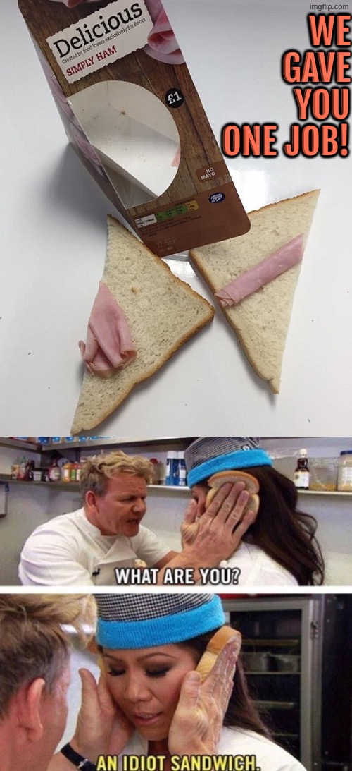 A True Idiot Sandwich | WE GAVE YOU ONE JOB! | image tagged in you had one job,epic fail,gordon ramsay idiot sandwich,excuse me wtf,do you are have stupid,duhhh dumbass | made w/ Imgflip meme maker