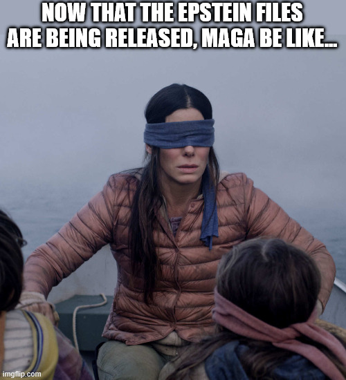 Bird Box Meme | NOW THAT THE EPSTEIN FILES ARE BEING RELEASED, MAGA BE LIKE... | image tagged in memes,bird box | made w/ Imgflip meme maker