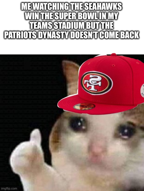 sad thumbs up cat | ME WATCHING THE SEAHAWKS WIN THE SUPER BOWL IN MY TEAMS STADIUM BUT THE PATRIOTS DYNASTY DOESN’T COME BACK | image tagged in sad thumbs up cat | made w/ Imgflip meme maker