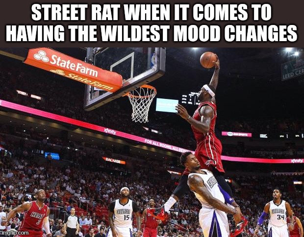 :3 | STREET RAT WHEN IT COMES TO HAVING THE WILDEST MOOD CHANGES | image tagged in dunk on | made w/ Imgflip meme maker