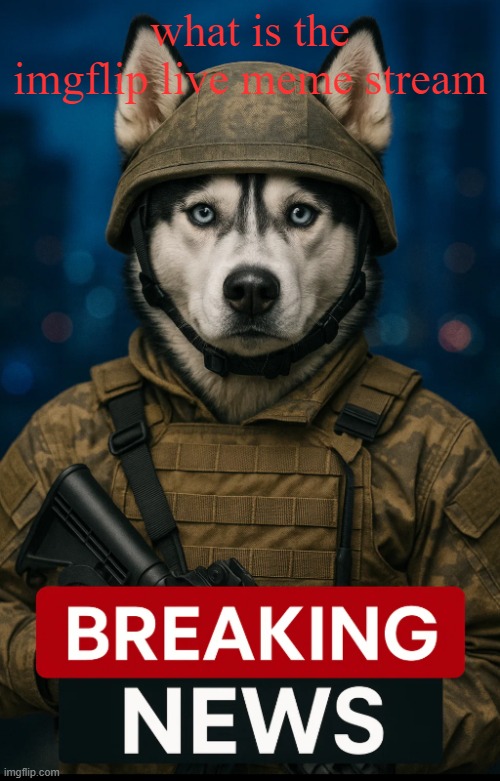 Corny template ngl | what is the imgflip live meme stream | image tagged in husky soldier breaking news | made w/ Imgflip meme maker