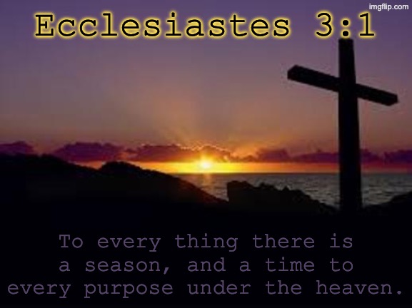 CROSS | Ecclesiastes 3:1; To every thing there is a season, and a time to every purpose under the heaven. | image tagged in cross | made w/ Imgflip meme maker