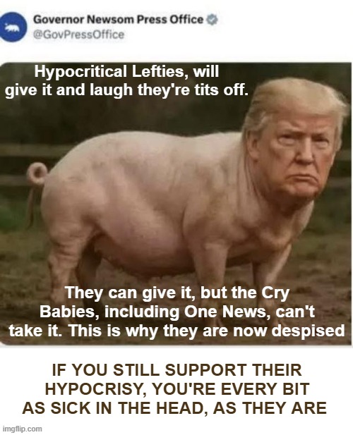 Democratic Hypocrites | Hypocritical Lefties, will give it and laugh they're tits off. They can give it, but the Cry Babies, including One News, can't take it. This is why they are now despised; IF YOU STILL SUPPORT THEIR HYPOCRISY, YOU'RE EVERY BIT AS SICK IN THE HEAD, AS THEY ARE | image tagged in political cartoon | made w/ Imgflip meme maker