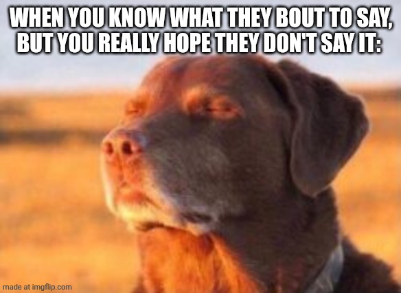 Dog in sun | WHEN YOU KNOW WHAT THEY BOUT TO SAY, BUT YOU REALLY HOPE THEY DON'T SAY IT: | image tagged in dog in sun | made w/ Imgflip meme maker