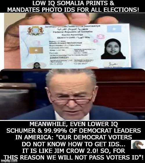 politics | image tagged in political meme | made w/ Imgflip meme maker