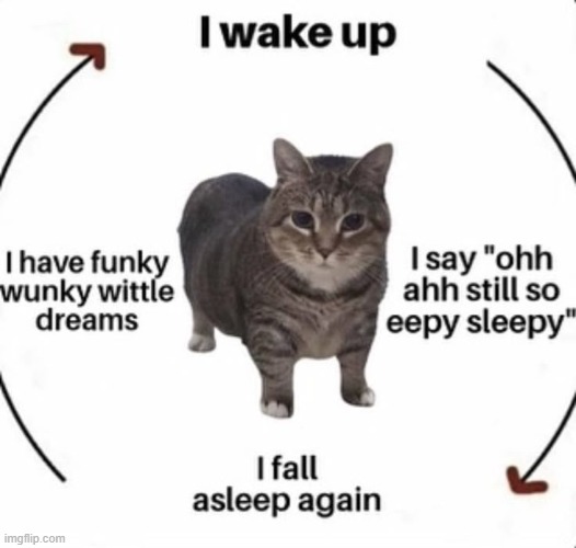 gn | made w/ Imgflip meme maker