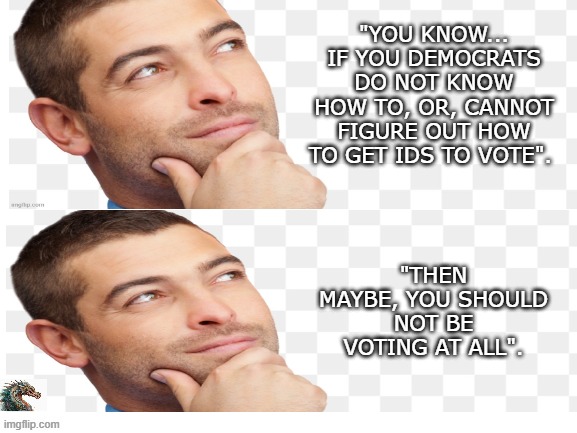 politics | "YOU KNOW... IF YOU DEMOCRATS DO NOT KNOW HOW TO, OR, CANNOT FIGURE OUT HOW TO GET IDS TO VOTE". "THEN MAYBE, YOU SHOULD NOT BE VOTING AT ALL". | image tagged in political meme | made w/ Imgflip meme maker