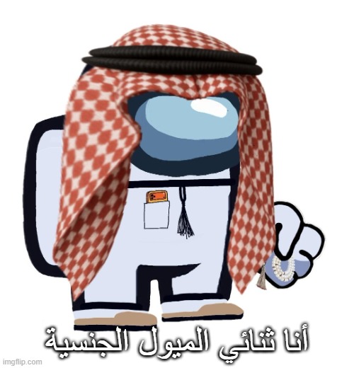 ArabMogus (thanks eshaheer) | أنا ثنائي الميول الجنسية | image tagged in arabmogus thanks eshaheer | made w/ Imgflip meme maker