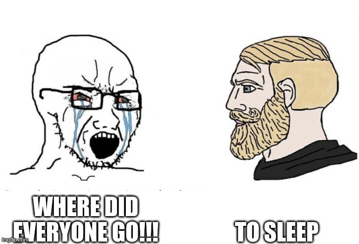 Soyboy Vs Yes Chad | TO SLEEP; WHERE DID EVERYONE GO!!! | image tagged in soyboy vs yes chad | made w/ Imgflip meme maker