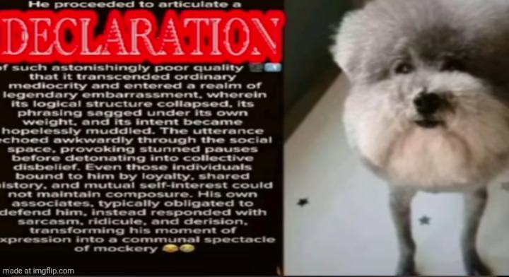 I'm def gonna use this at some point. | image tagged in declaration of insanity | made w/ Imgflip meme maker