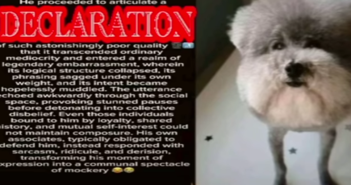 Declaration of Insanity Blank Meme Template