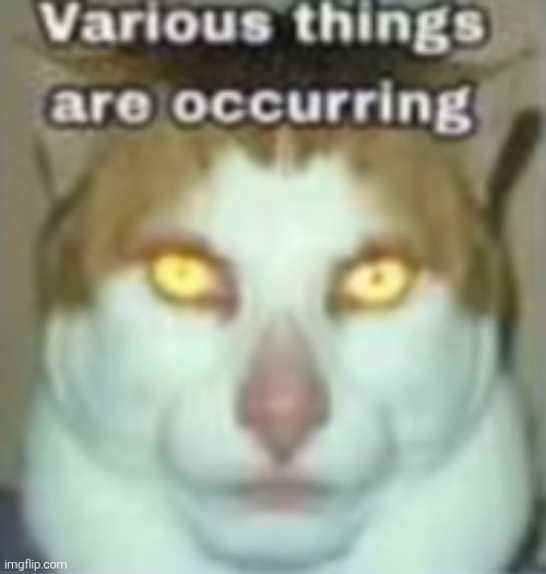various things are occurring | image tagged in various things are occurring | made w/ Imgflip meme maker