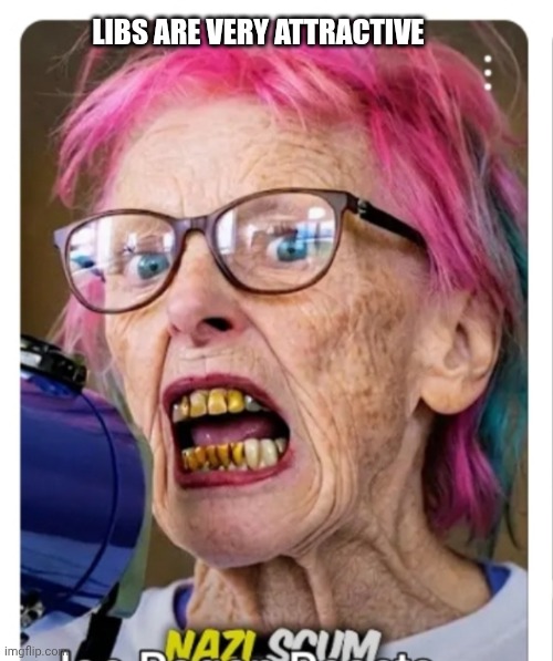 LIBS ARE VERY ATTRACTIVE | made w/ Imgflip meme maker