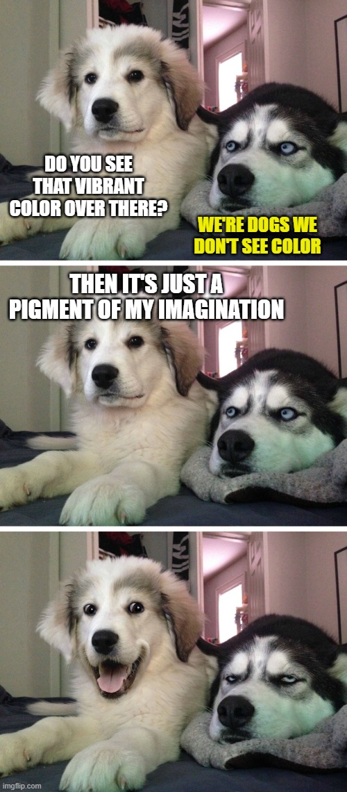 Dad-dog joke | DO YOU SEE THAT VIBRANT COLOR OVER THERE? WE'RE DOGS WE DON'T SEE COLOR; THEN IT'S JUST A PIGMENT OF MY IMAGINATION | image tagged in bad pun dogs,memes,pigment,color,figment,imagination | made w/ Imgflip meme maker