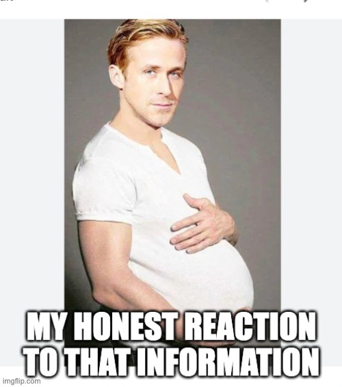 pregnant Ryan | image tagged in pregnant ryan | made w/ Imgflip meme maker