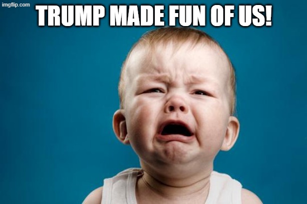 Democrats much? | TRUMP MADE FUN OF US! | image tagged in baby crying | made w/ Imgflip meme maker
