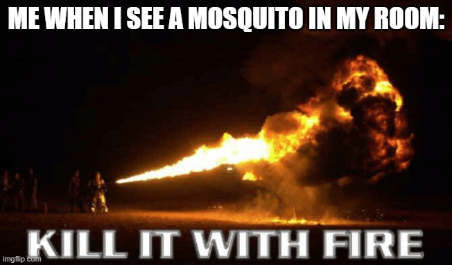 mosquto | ME WHEN I SEE A MOSQUITO IN MY ROOM: | image tagged in kill it with fire | made w/ Imgflip meme maker