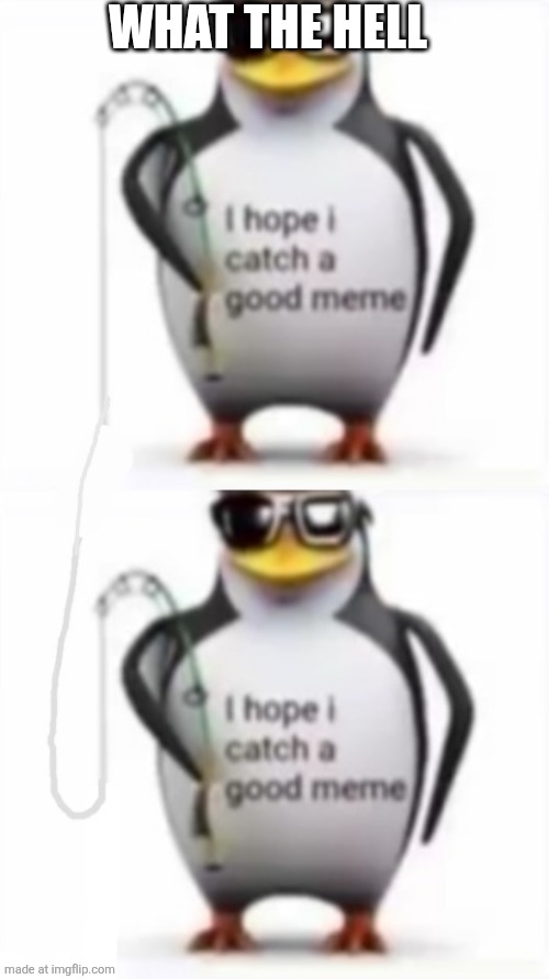 WHAT THE HELL | image tagged in i hope i catch a good meme,i hope i catch a good meme but i don't want the meme below | made w/ Imgflip meme maker