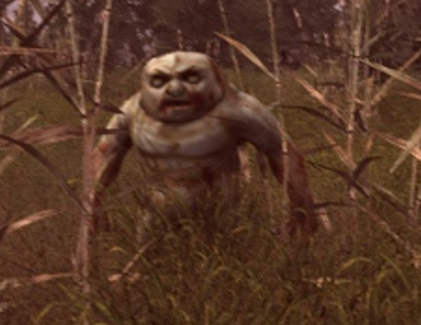 stalker lost Blank Meme Template