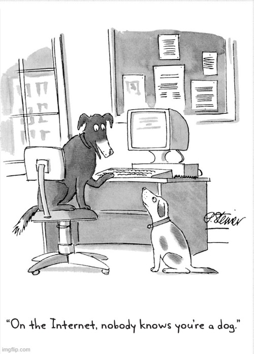 On the internet nobody knows you're a dog | image tagged in on the internet nobody knows you're a dog | made w/ Imgflip meme maker