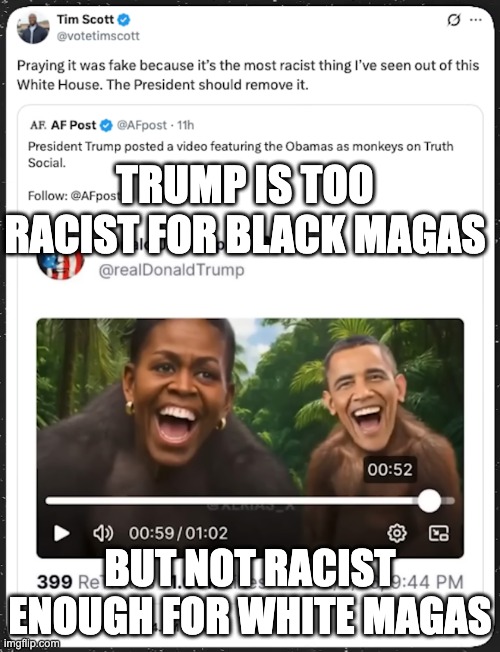 TRUMP IS TOO RACIST FOR BLACK MAGAS; BUT NOT RACIST ENOUGH FOR WHITE MAGAS | made w/ Imgflip meme maker