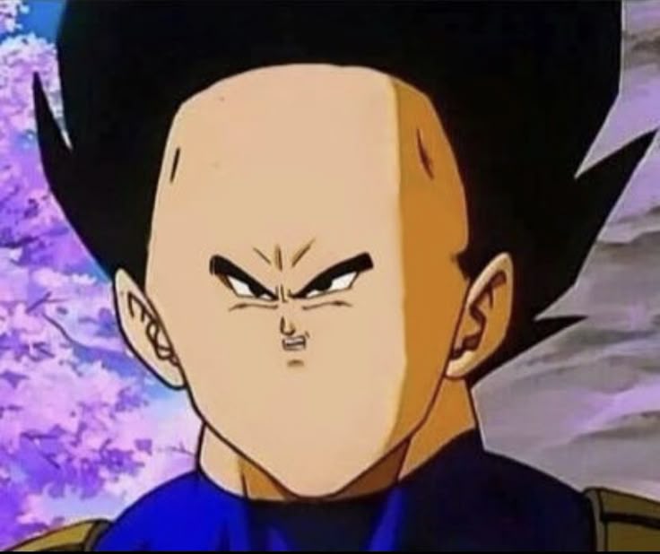 Vegeta Meme Face Blank Meme Template