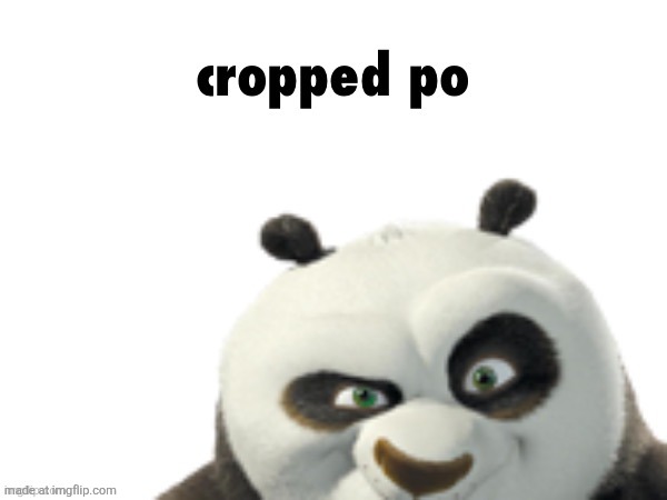 cropped po | image tagged in cropped po | made w/ Imgflip meme maker
