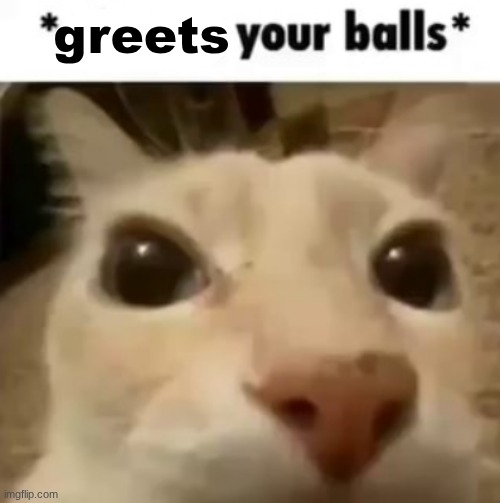 X your balls | greets | image tagged in x your balls | made w/ Imgflip meme maker