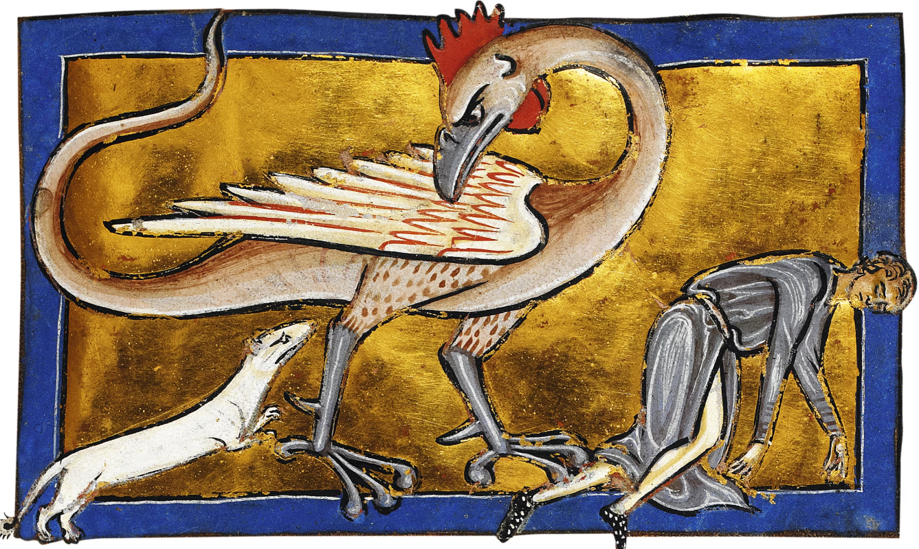 Medieval Monday Blank Meme Template