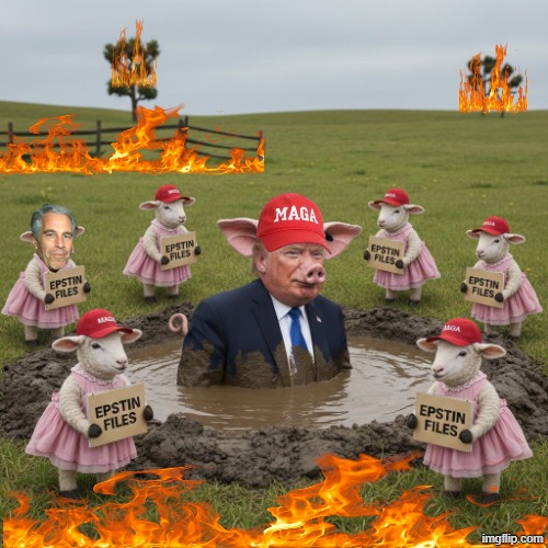 MAGA MUD HOLE | image tagged in pig,miss piggy,piglet,porky pig,bad piggies,make america great again | made w/ Imgflip meme maker