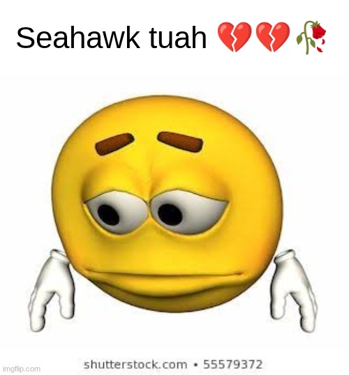 s | Seahawk tuah 💔💔🥀 | image tagged in sad stock emoji | made w/ Imgflip meme maker