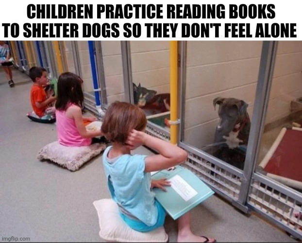 Children Practice Reading Books To Shelter Dogs | CHILDREN PRACTICE READING BOOKS TO SHELTER DOGS SO THEY DON'T FEEL ALONE | image tagged in chrisjoines1 | made w/ Imgflip meme maker