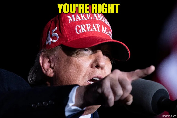 D. TRUMP MAGA HAT | YOU'RE RIGHT | image tagged in d trump maga hat | made w/ Imgflip meme maker