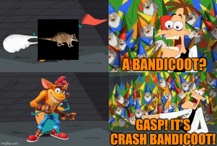 An ordinary Platypus? | A BANDICOOT? GASP! IT'S CRASH BANDICOOT! | image tagged in an ordinary platypus,bandicoot,crash bandicoot,activision,marsupial | made w/ Imgflip meme maker