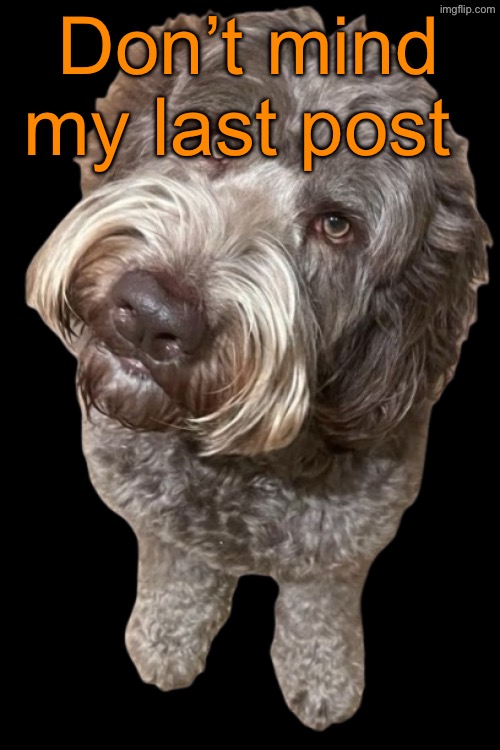 Northers Dog (Transparent) | Don’t mind my last post | image tagged in northers dog transparent | made w/ Imgflip meme maker